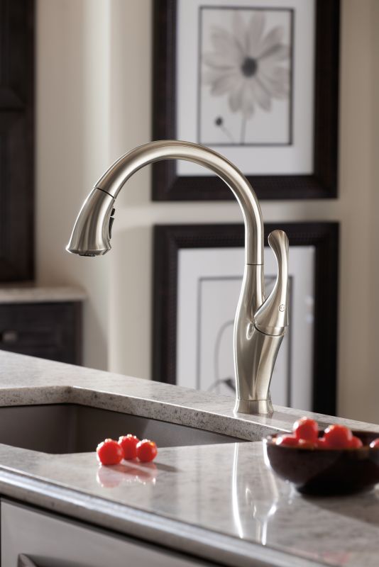 Delta 9192DSTSD Kitchen Faucet