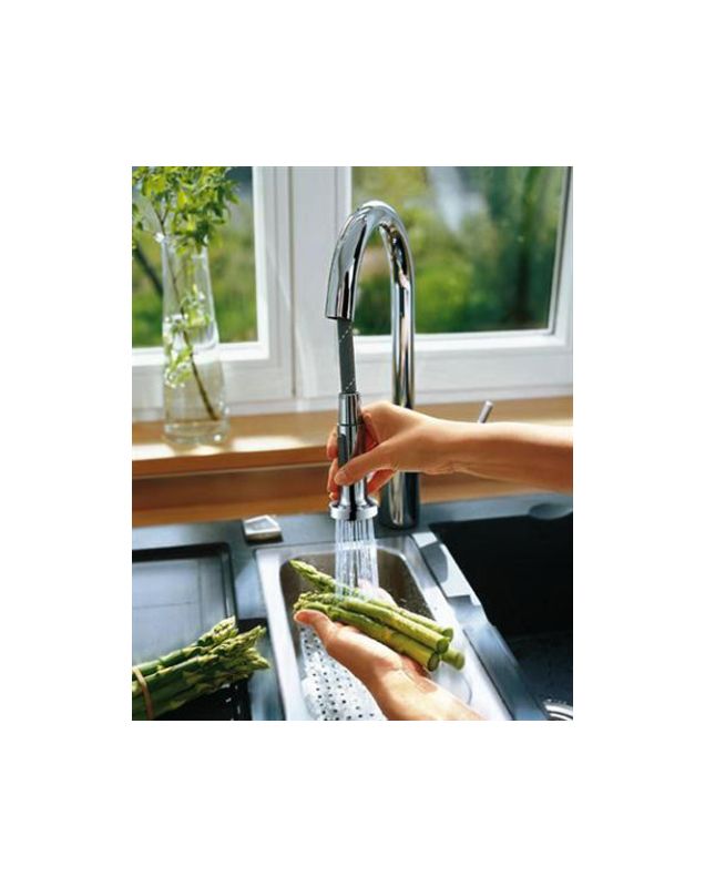 Hansgrohe 14877 Kitchen Faucet