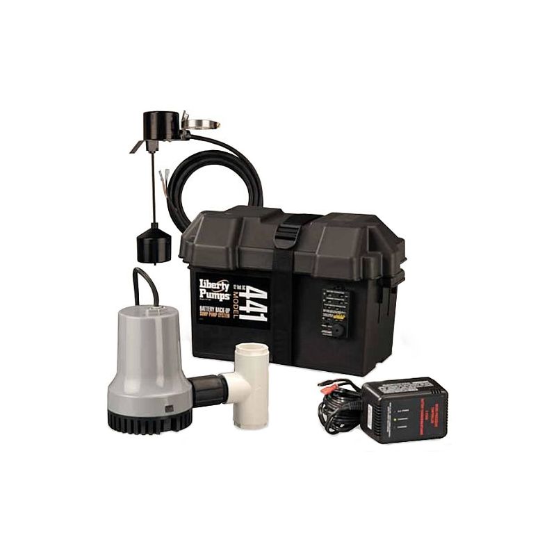 Pumps: Liberty Pumps