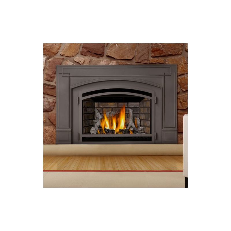 Napoleon IR3N 1SB N A BTU Insert Direct Vent Natural