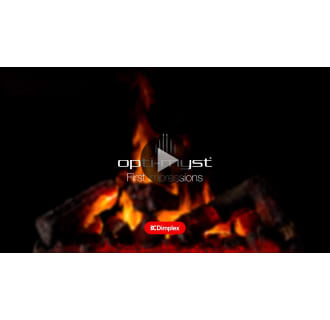 Dimplex OS2527GB 4777 BTU Free Standing Electric Stove | Build.com