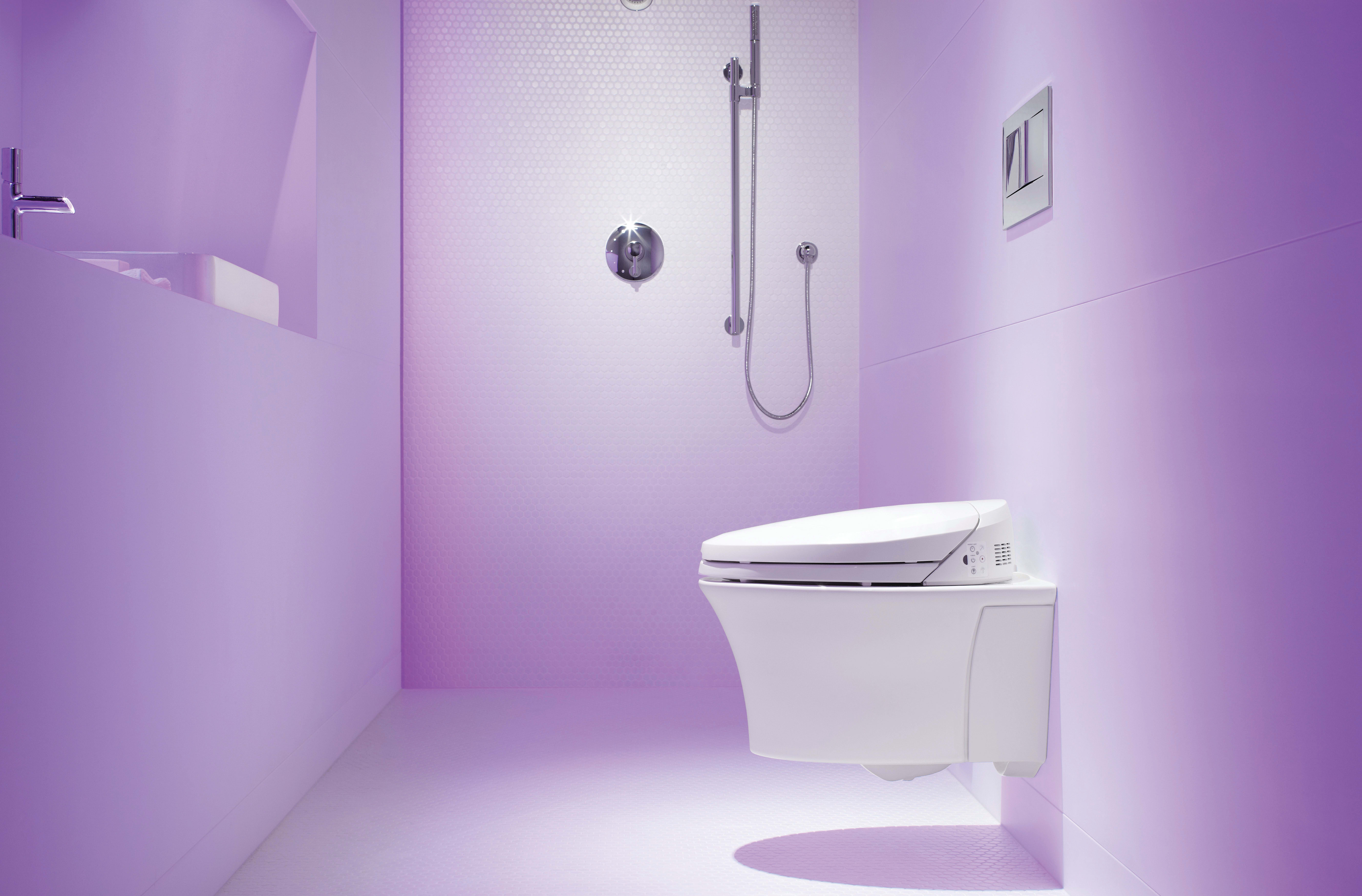 The Low Down on LowFlow Toilets