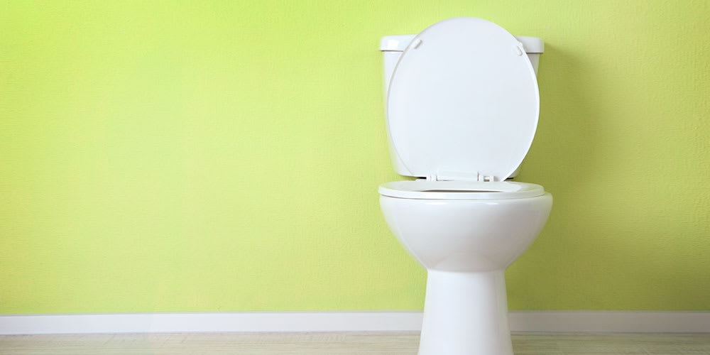 Best Toilets Seat Locks ~ Keep your Toddler OUT of your Toilet