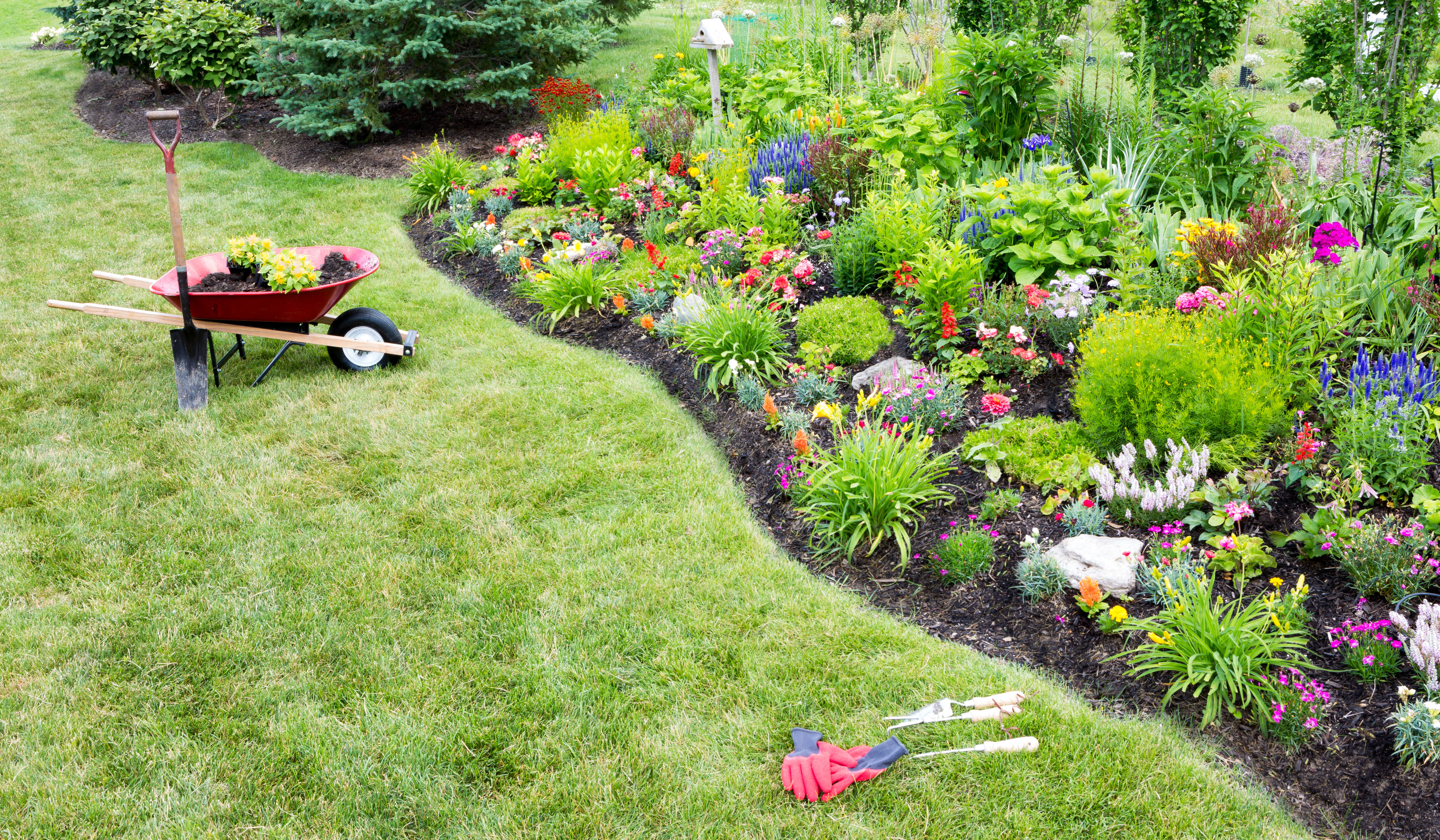 How to Reduce Yard Work