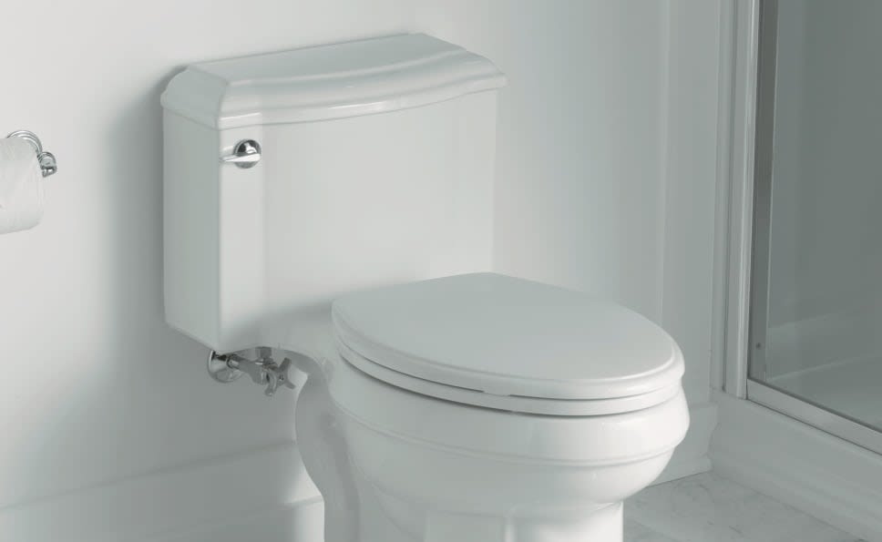 Choose a Toilet Seat that Fits