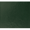 Marine Grade Forest Green