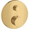 Brushed Gold Optic