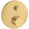 Brushed Gold Optic