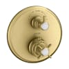 Brushed Gold Optic