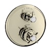Polished Nickel