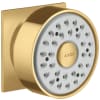 Brushed Gold Optic