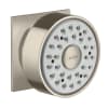 Brushed Nickel