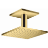 Polished Gold Optic