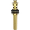 Polished Gold (PVD)