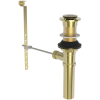 Uncoated Polished Brass (Living)