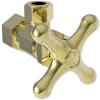 Forever Brass (PVD)