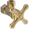 Polished Gold (PVD)