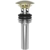 Uncoated Polished Brass (Living)