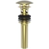 Uncoated Polished Brass (Living)