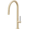 Satin Brass