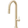 Satin Brass