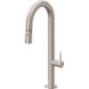 Satin Nickel