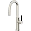 Polished Nickel