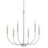 Brushed Polished Nickel