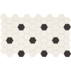 White With Black Dot