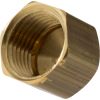 1/2" Female IPS Brass Cap