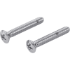 Replacement Overflow Plate Screws