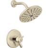 Brilliance Polished Nickel