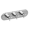 Polished Nickel PVD