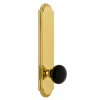 Polished Brass