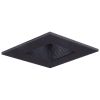 Black Trim / Black Baffle