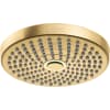 Brushed Gold Optic