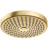 Brushed Gold Optic