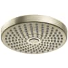 Polished Nickel
