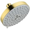 Brushed Gold Optic