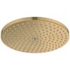 Brushed Gold Optic