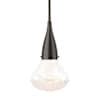 Oil Rubbed Bronze / Clear
