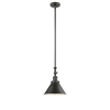 Oiled Rubbed Bronze / Large Railroad Shade