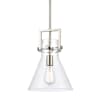 Satin Nickel / Clear