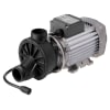 Replacement Various Speed 230V Pump Assembly
