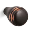 Oil Rubbed Bronze (2BZ)