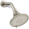 Vibrant Brushed Nickel