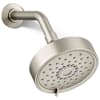 Vibrant Brushed Nickel