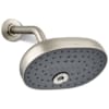 Vibrant Brushed Nickel