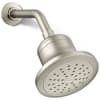Vibrant Brushed Nickel