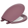Raspberry Puree